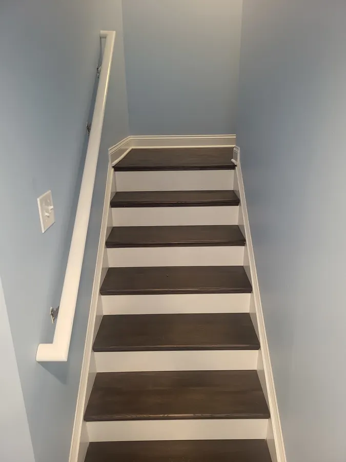 Finished basement stairway with dark wood treads, white risers, and blue walls
